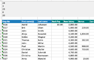 A screenshot of a spreadsheet

Description automatically generated