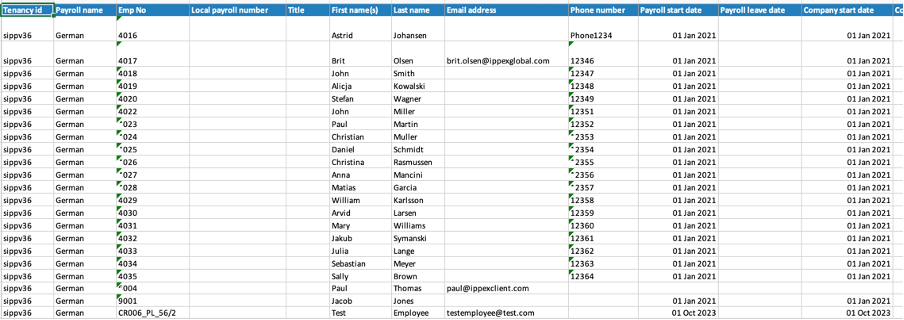 A screenshot of a computer

Description automatically generated